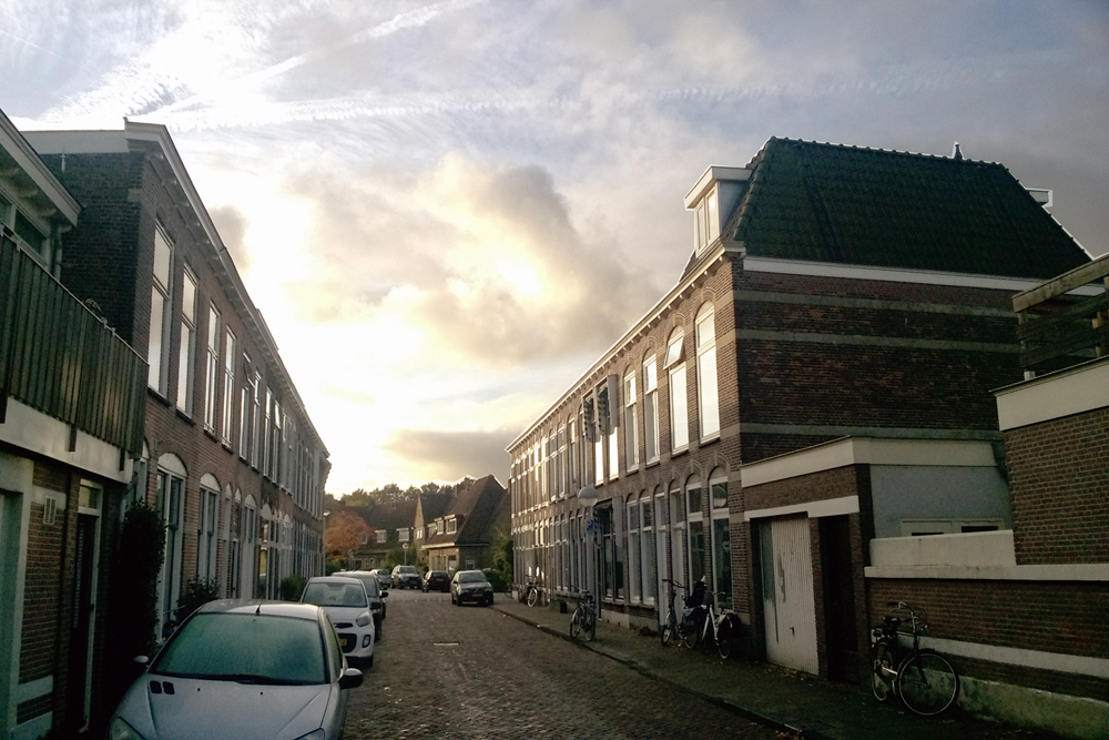 week 37: start Staalwijkstraat, Leiden